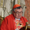 Kardinal Puljić predvodio misu bez naroda na Cvjetnicu u sarajevskoj katedrali