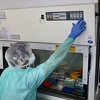 Na KCUS-u testirano 129 uzoraka, na koronavirus pozitivna tri iz Cazina