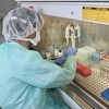 Testiranje na koronavirus između politike i biznisa: Zašto je izbačen privatni sektor