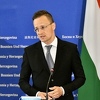 Mađarski ministar govorio o BiH, prevoditeljica prevodila kao RS
