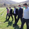 Veliki odziv poljoprivrednika u FBiH, već stiglo blizu 17.000 aplikacija