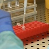 Rezultati novog istraživanja potvrđuju tvrdnje da visoke temperature uništavaju koronavirus