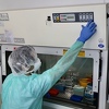 Tri uposlenika Ministarstva za ljudska prava i izbjeglice BiH pozitivna na koronavirus