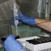 U zagrebačkoj klinici uzgojen virus koji uzrokuje Covid-19, prvi korak u razvoju vakcine