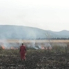 Požari u Hutovom Blatu stavljeni pod kontrolu, vatrogasci dežuraju na terenu