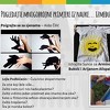 Nove prakse i ideje pristižu i dalje: Pročitajte zanimljive primjere iz nauke