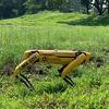 Singapur: Robotski pas će u parku osiguravati poštivanje društvenog distanciranja