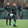 Ibrahimović se konačno vraća u Milano, očekuje ga obavezan karantin