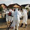 Sve što trebate znati o dezinfekciji, dezinsekciji i deratizaciji kao preventivnim mjerama