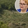 BiH putem diplomatskih kanala traži od Hrvatske pojašnjenje o sječi šume na granici
