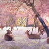 Bajkovit prizor u Japanu: Umjesto turista u parku Nara uživaju jeleni