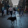 Argentina produžila karantin do 7. juna, slijedi postepeno ublažavanje mjera