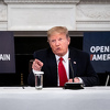 Trump zaprijetio demonstrantima: Ako pređu ogradu susrest će se s psima i oružjem