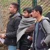 Granična policija spriječila 120 migranata da iz Srbije uđu u BiH