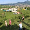 Brdo Žuč u Sarajevu uskoro bez mina