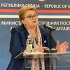 Turković: Napad na Vučića u Potočarima se nije smio dogoditi