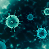 Mutacija pokazuje zašto je koronavirus tako veliki neprijatelj ljudima