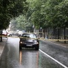 Vozač Audija koji je usmrtio pješakinju predat Tužilaštvu KS