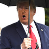 Google i Amazon kritikovali Trumpa zbog odluke o suspendovanju viza