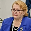 Turković: Predložit ću sutra recipročne mjere Hrvatskoj, bh. građanima zabranjuju i tranzit!