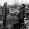 Juli u kinu Meeting Point: Na repertoar stižu brojni nagrađivani filmovi