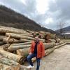 Drvna industrija pretrpjela je ogroman udar zbog pandemije, ali neki su opstali i čak zabilježili rast