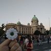 Demonstrant s protesta u Beogradu uz Cvijet Srebrenice poručio: Priznanje!