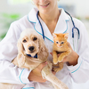 Ako ste zabrinuti za zdravlje svog ljubimca, ove stvari morate pitati njegovog veterinara