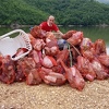 Kompanija Henkel šestu godinu zaredom organizuje projekt "Zajedno za čiste vode BiH"