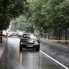 Potvrđena optužnica protiv Almira Durakovića koji je automobilom usmrtio pješakinju u Sarajevu