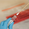 Njemačka razmatra uvođenje obaveznog testiranja na koronavirus za one koji se vraćaju s odmora