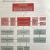 Nacionalni plan BiH za borbu protiv pandemije je od 2009. mrtvo slovo na papiru