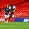 Fulham slavio u najskupljoj utakmici sezone i plasirao se u Premiership
