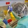 Od sutra i zvanično jeftinije komercijalno testiranje na koronavirus u FBiH, poznata je i cijena