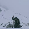 Sarajevo Film Festival: Evo koje filmove danas možete pogledati na SFF platformi