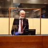 Tužilaštvo iznosi argumente o Mladićevoj genocidnoj namjeri u drugim općinama u BiH
