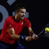 Hrvatski teniser priredio senzaciju na US Openu izbacivši Tsitsipasa, Đoković neumoljiv
