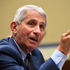 Fauci: Vakcinu protiv korone treba očekivati početkom 2021. godine