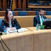 Glavna disciplinska tužiteljica pri VSTV-u pred istražnom komisijom otkrila primjere pritisaka