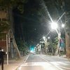 Jak vjetar u Bihaću čupao stabla iz korijena, nevrijeme stiže i u druge bh. gradove