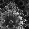 Koronavirus usmrtio tri puta više Britanaca nego gripa i upala pluća zajedno