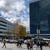 Od 130.000 Ostalih u BiH njih tek 332 radi u državnim institucijama