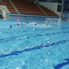 Odigrano 3. i 4. kolo Vaterpolo lige, s kadetima Invictuma nastupila i djevojčica