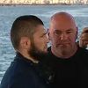 Habib i Gaethje spremni za UFC-ov spektakl, otkrivaju se planovi za borbu