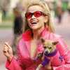 Dugoočekivani treći nastavak "Legally Blonde" ipak odgođen za 2022. godinu