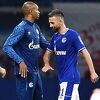Bild: Ibišević se sukobio s pomoćnim trenerom Schalkea, igrači ih razdvojili