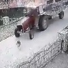 Pas koji je pregažen u Gračanici je živ, protiv počinitelja će biti podnesena prijava