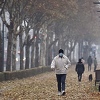 Korona u BiH: U posljednja 24 sata 526 novozaraženih sugrađana
