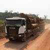 Krčenje Amazonske prašume u Brazilu na najvišem nivou u proteklih 12 godina