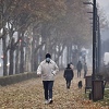 Desocijalizacija u pandemiji: Bh. psihoterapeuti primjećuju nedostatak empatije kod ljudi